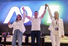 Movimiento Acción Democrática Nacional sin alianzas